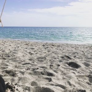 Meet your Posher, Ella